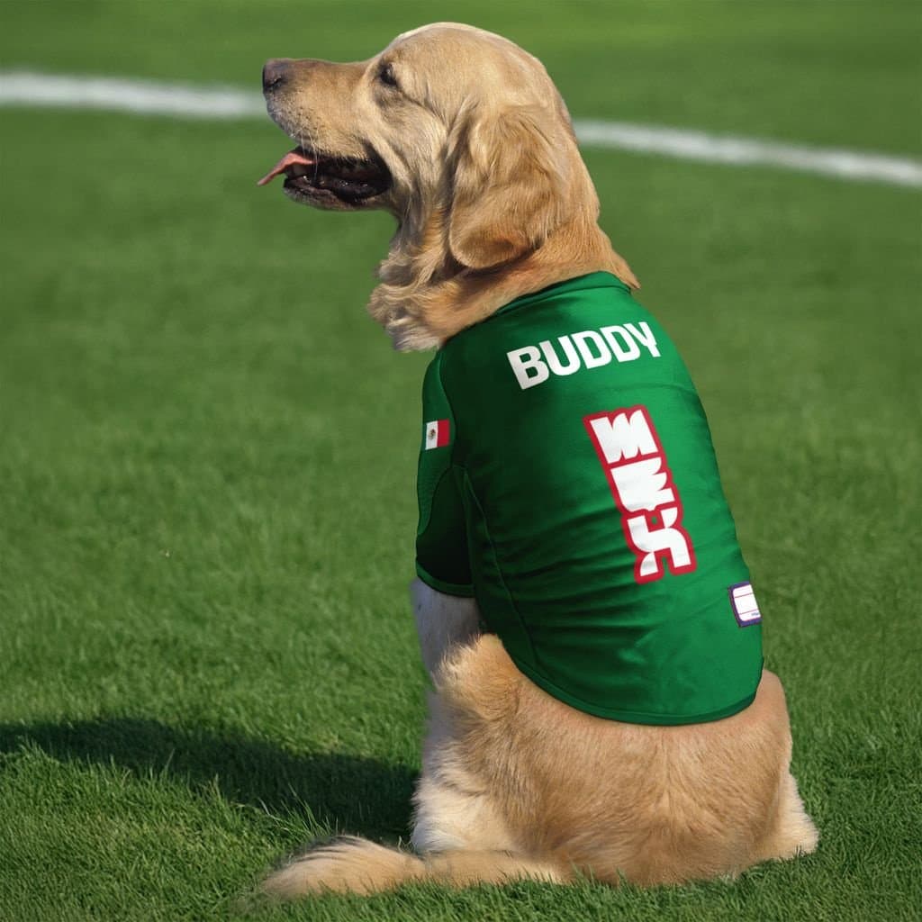 Littlearth FIFA World Cup 2026 Mexico Personalized Stretch Dog Jersey